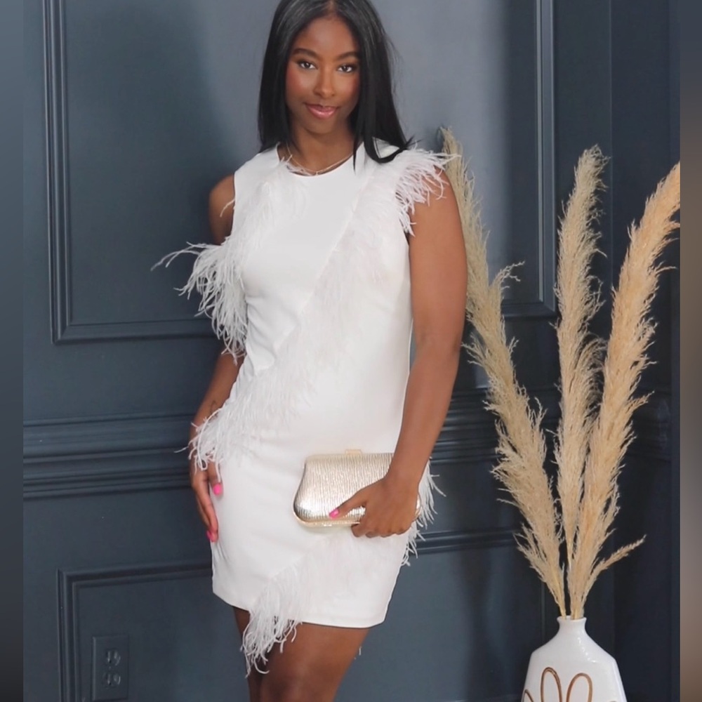 Hutch Sleeveless Feather Dress - Picture 3 of 3